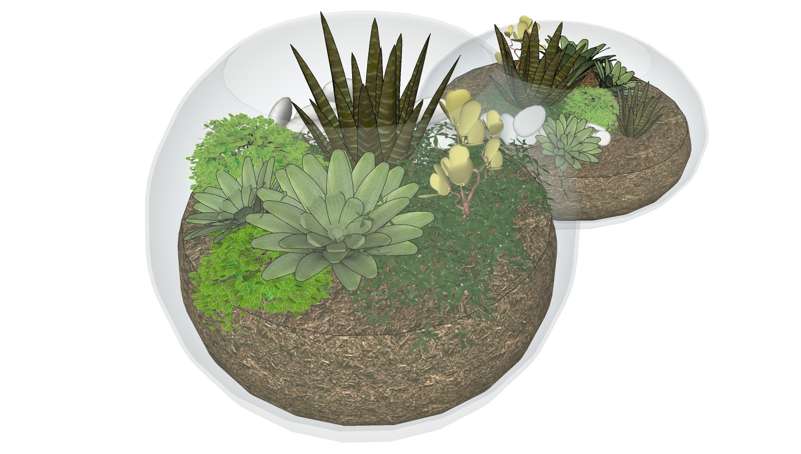 植物盆景 盆栽  组合 植物盆栽 su草图模型下载
