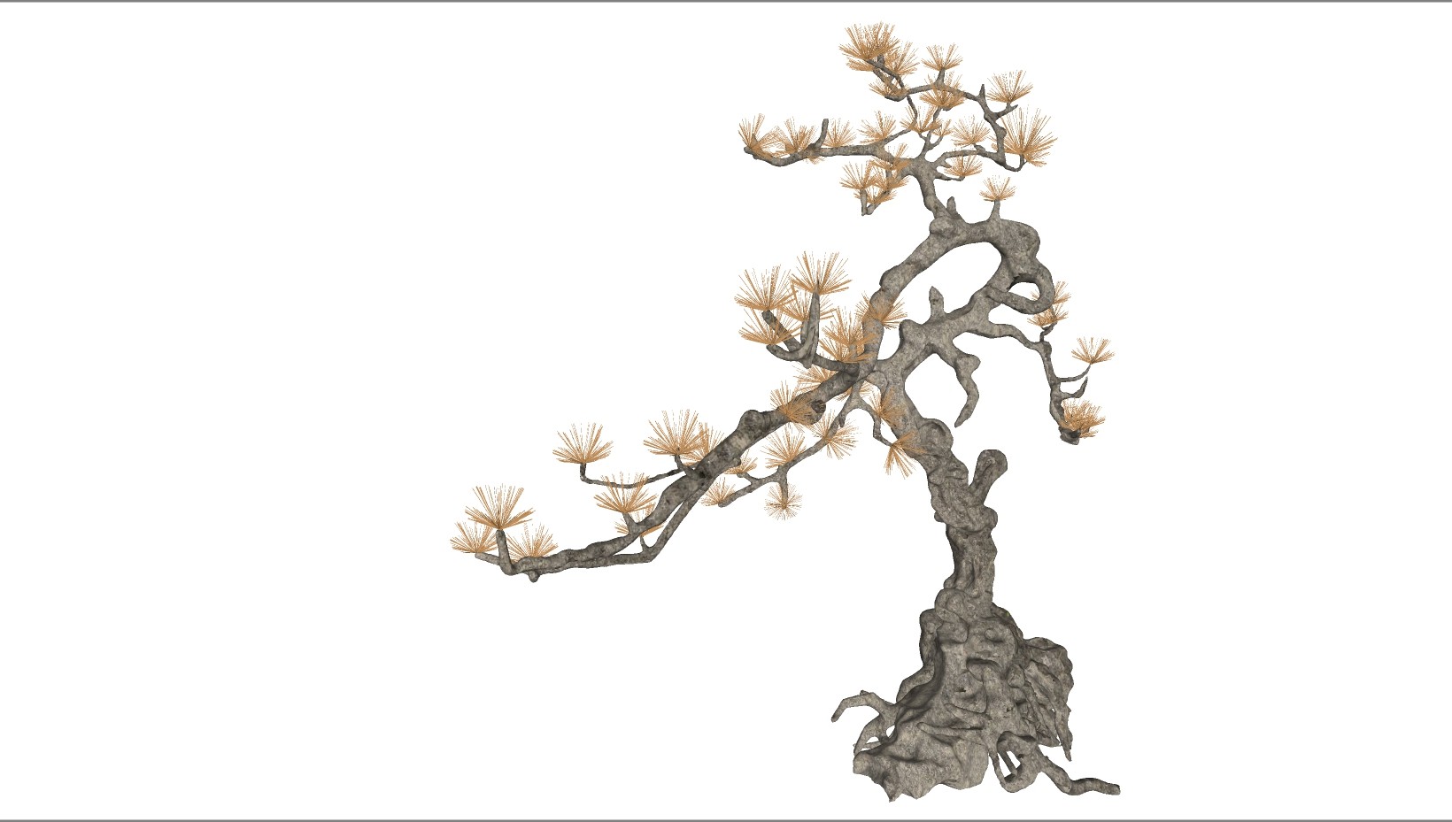 景观植物松树 su草图模型下载