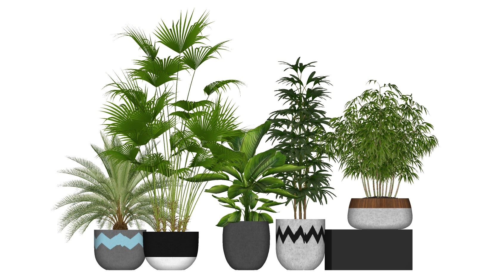 多肉植物 竹子 芭蕉植物 装饰植物绿植盆栽su草图模型下载