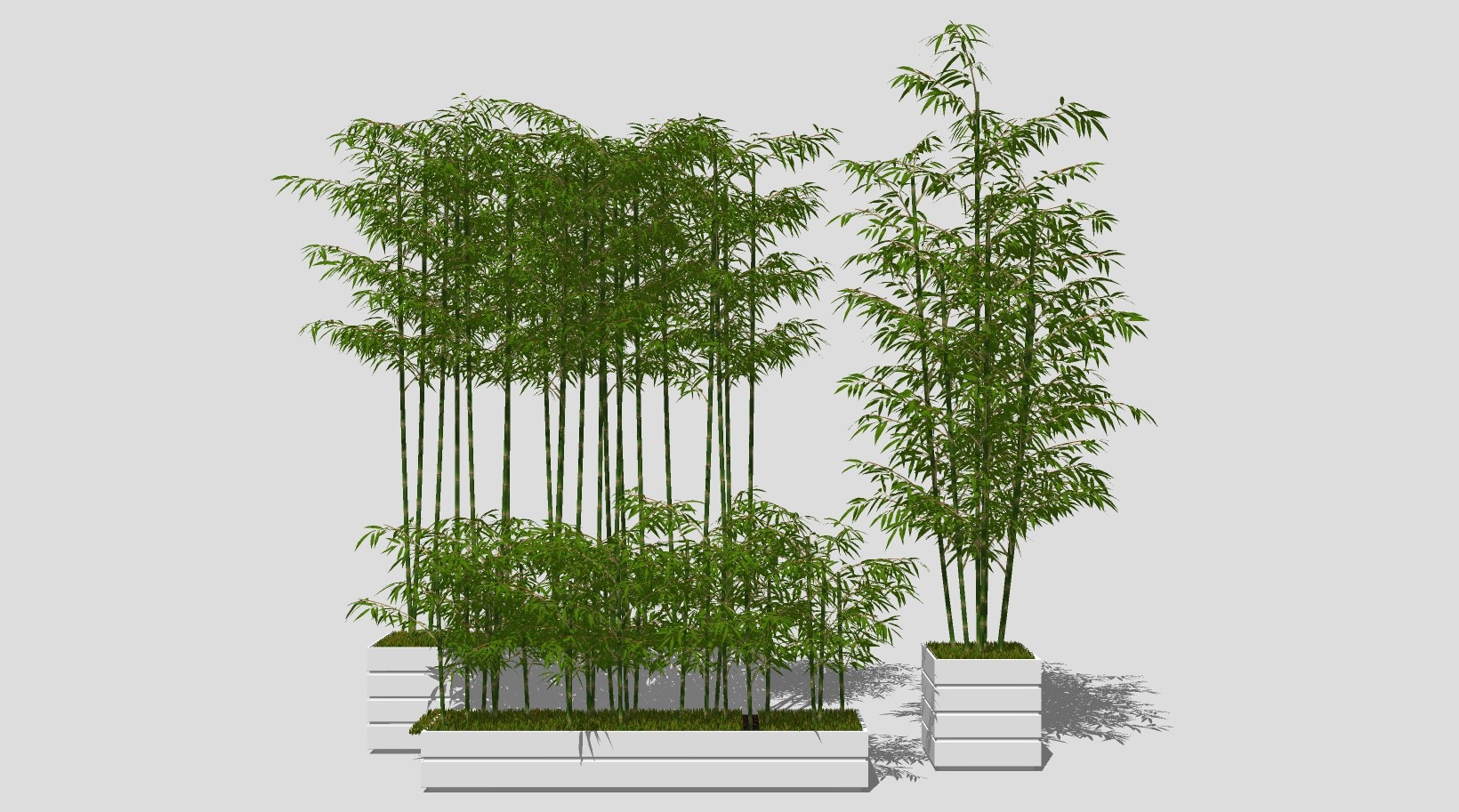 现代，新中式竹子，花池su草图模型下载
