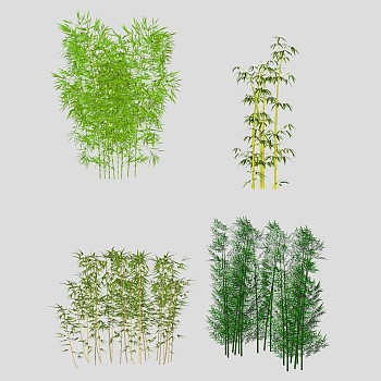 现代竹子植物，竹林su草图模型下载