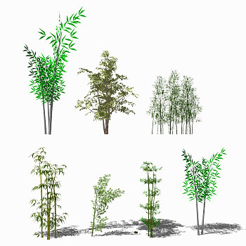 现代竹子植物 su草图模型下载