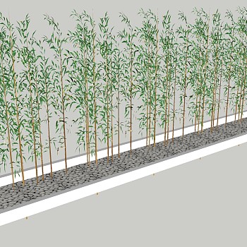 现代竹子植物 景观树池su草图模型下载