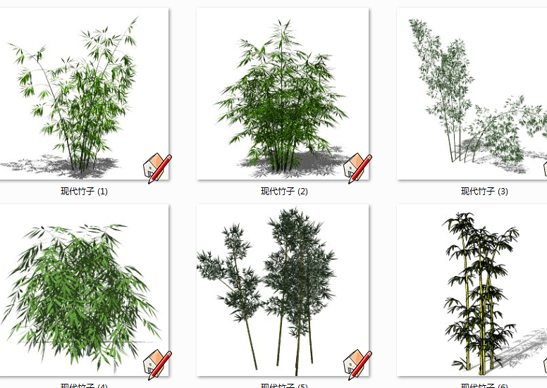现代竹子植物 景观竹子植物su草图模型下载