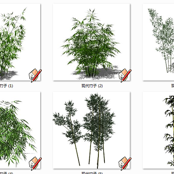 现代竹子植物 景观竹子植物su草图模型下载