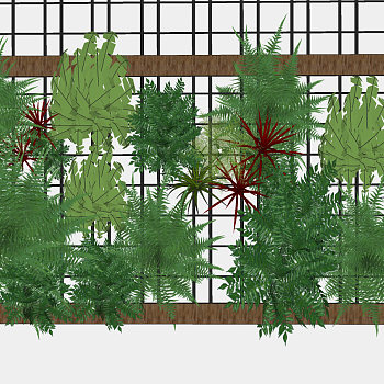 现代绿植 植物墙 装饰植物 su草图模型下载