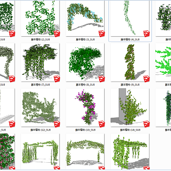 绿植墙 装饰植物藤蔓藤蔓绿植墙 su草图模型下载