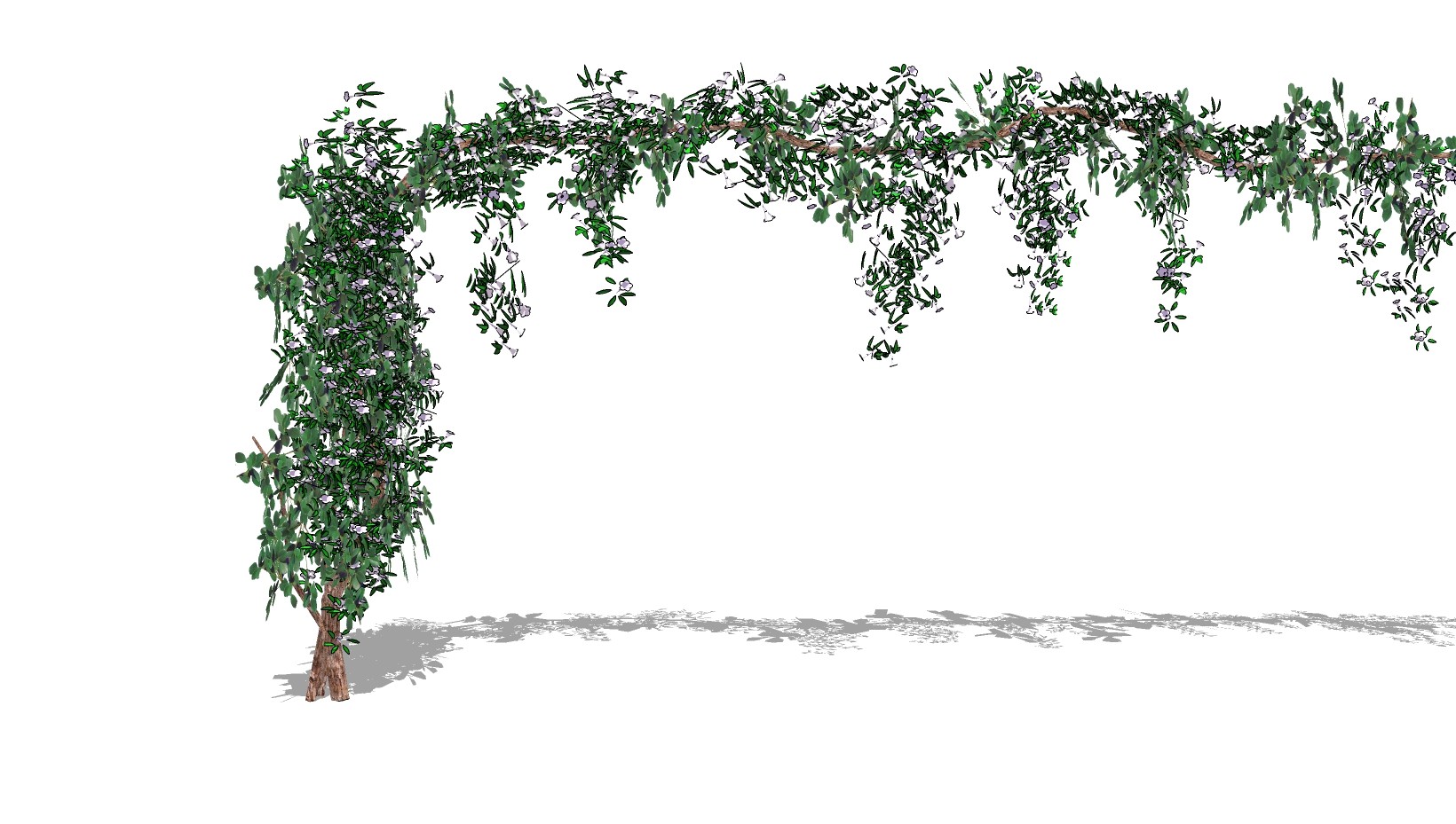 绿植植物 藤蔓 装饰植物 su草图模型下载