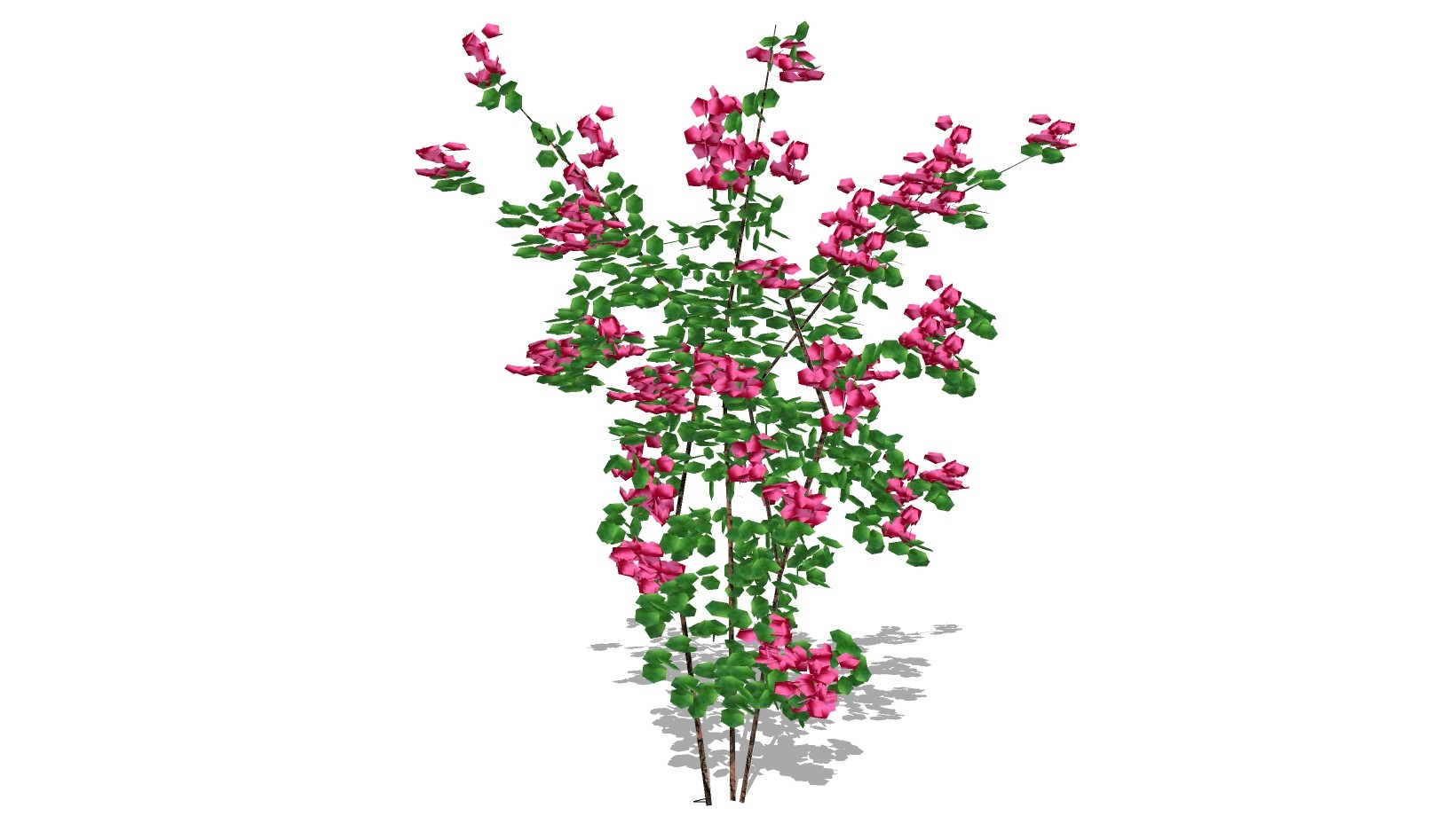 灌木植物 盆栽 装饰植物 su草图模型下载
