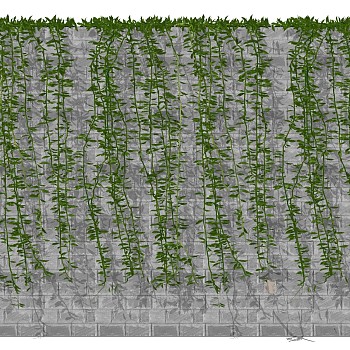藤蔓 植物 装饰植物 绿植墙  su草图模型下载