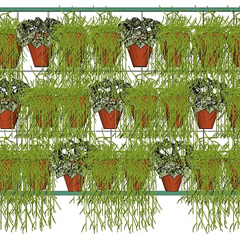 盆栽 装饰植物 绿植墙 su草图模型下载