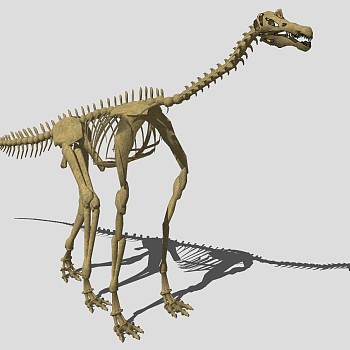 动物博物馆恐龙化石摆件su草图模型下载