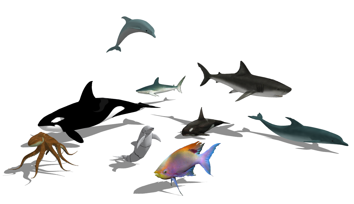 鲸鱼 热带鱼 鲨鱼 八爪鱼 su草图模型下载