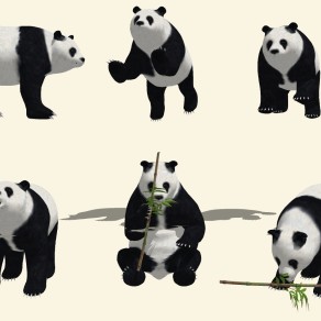 国宝大熊猫吃竹子模型 su草图模型下载