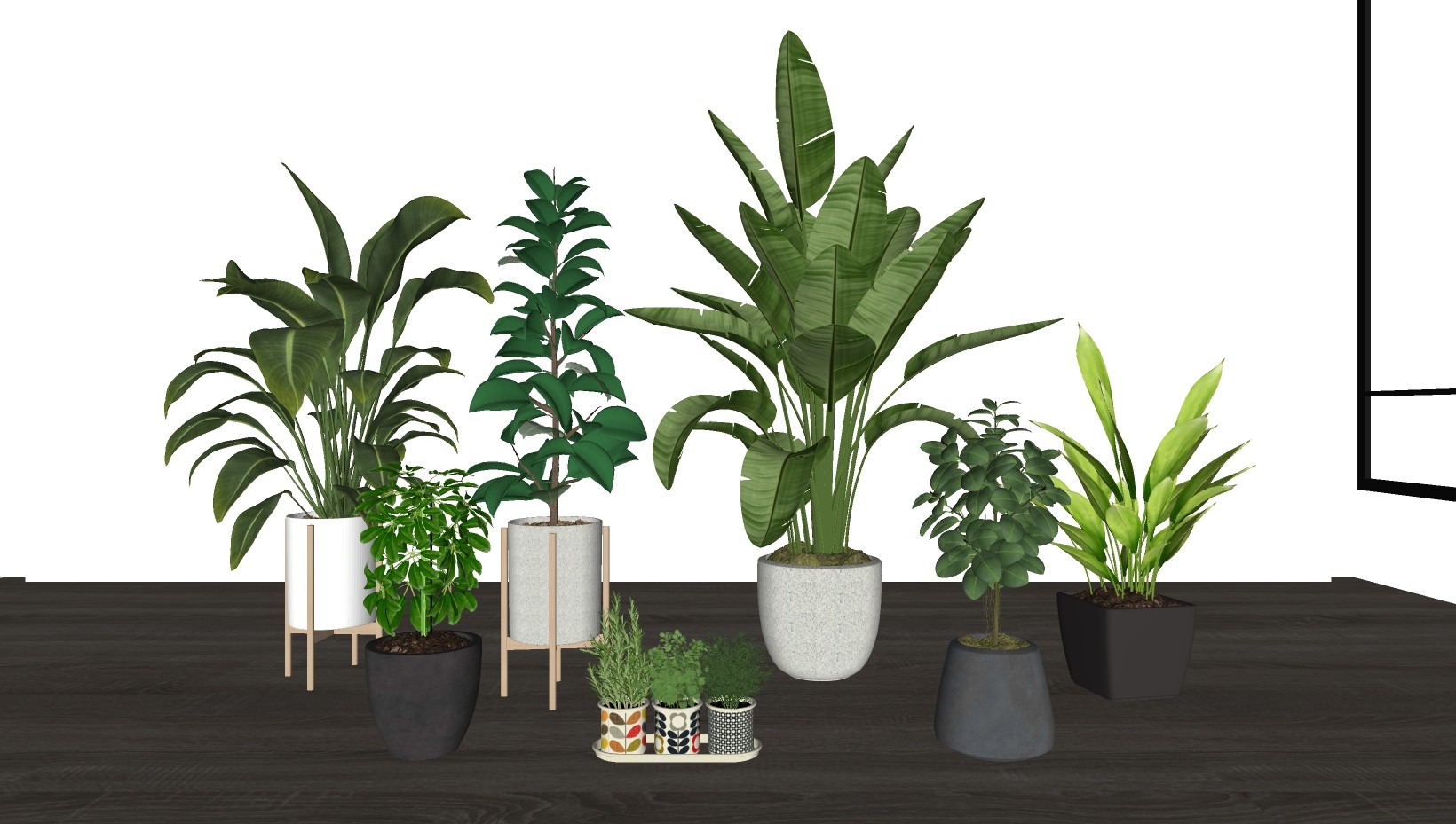 盆栽植物 摆件植物 组合 芭蕉植物绿植盆栽su草图模型下载