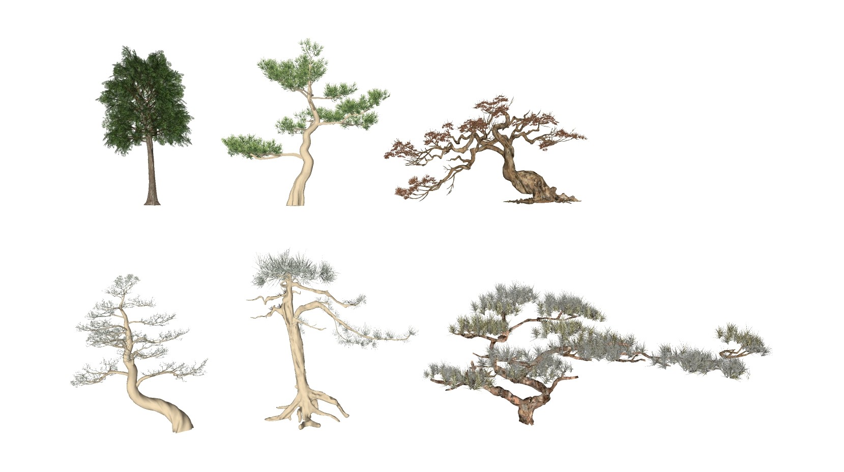 新中式景观树，松树 su草图模型下载