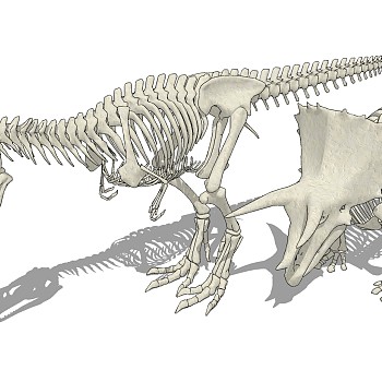 现代恐龙骨架组合