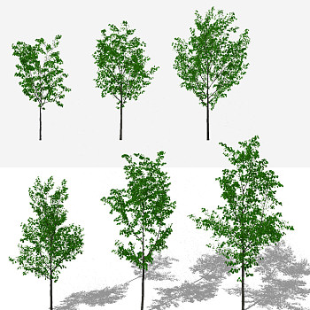 现代树，小树su草图模型下载