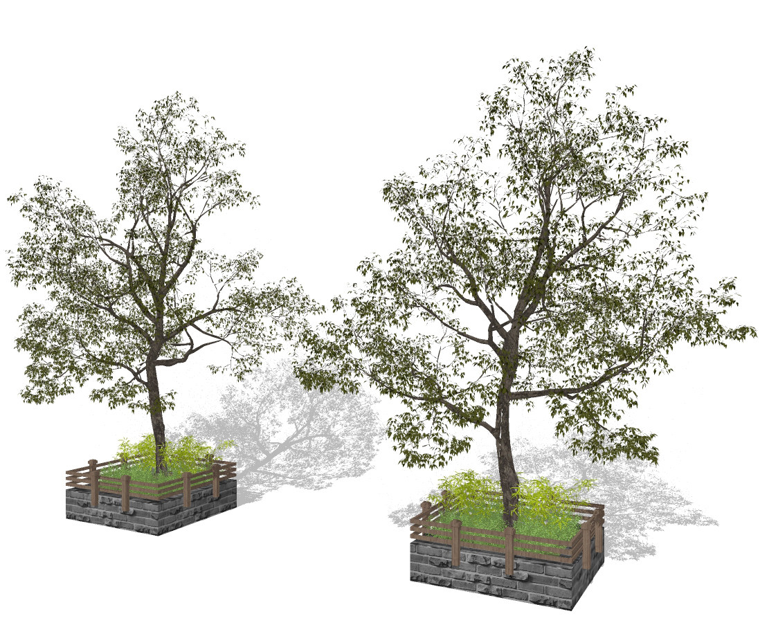 树，树池su草图模型下载