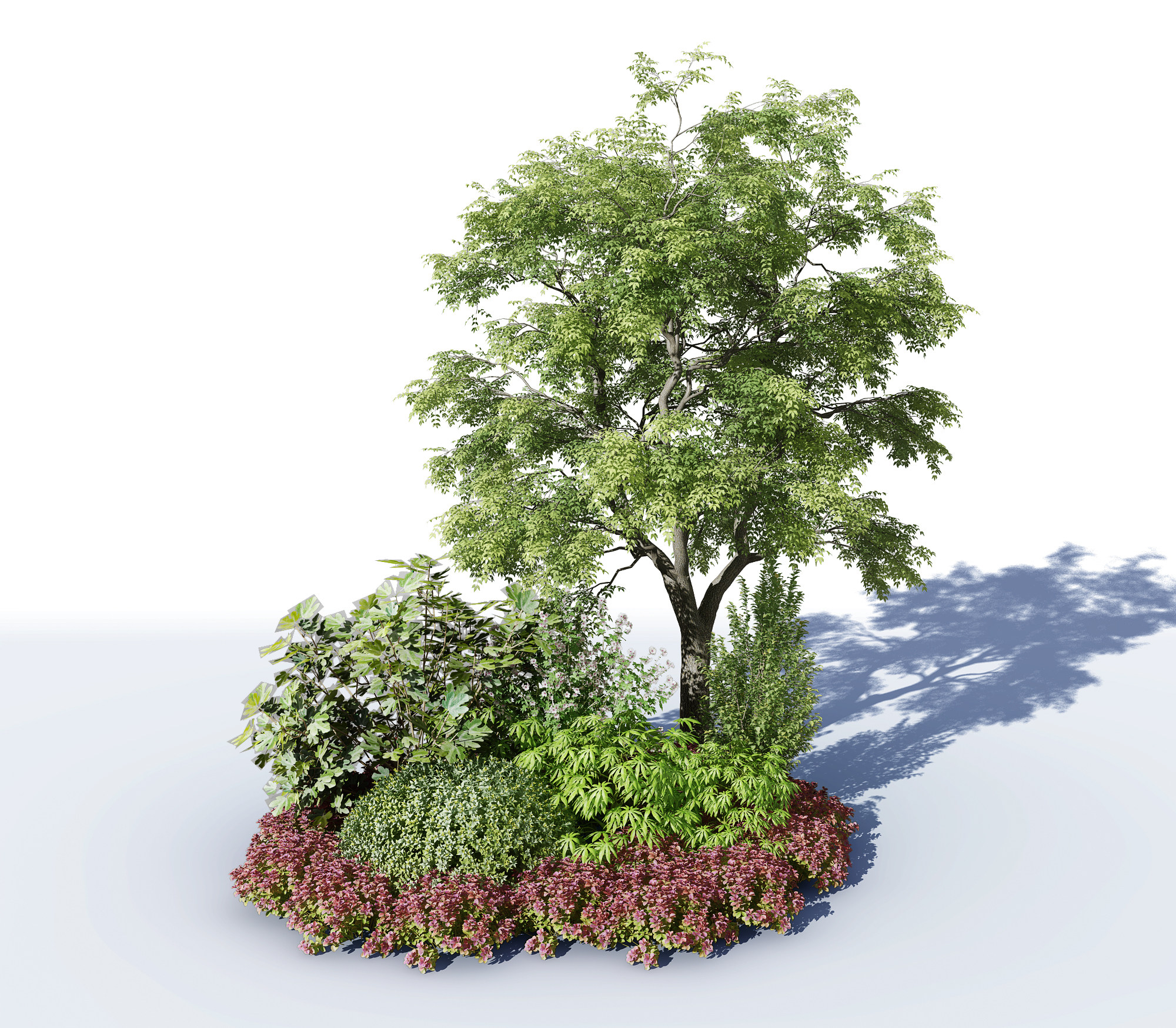 现代树，景观植物绿植su草图模型下载