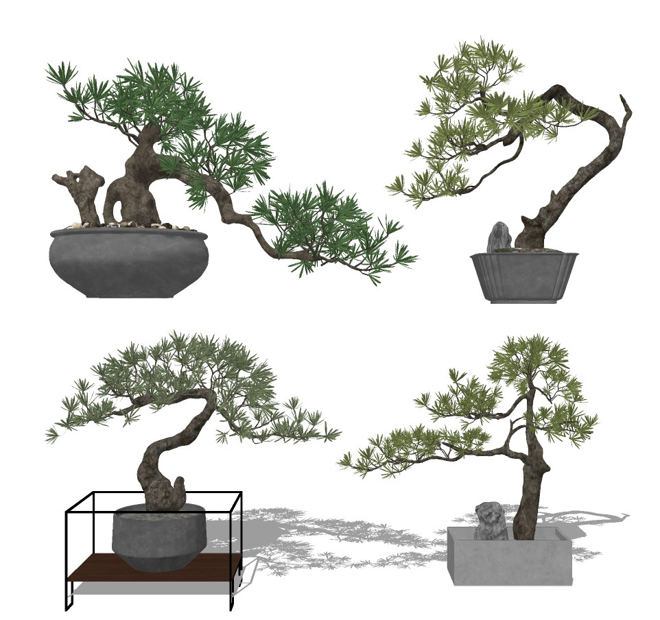 新中式盆栽植物su草图模型下载