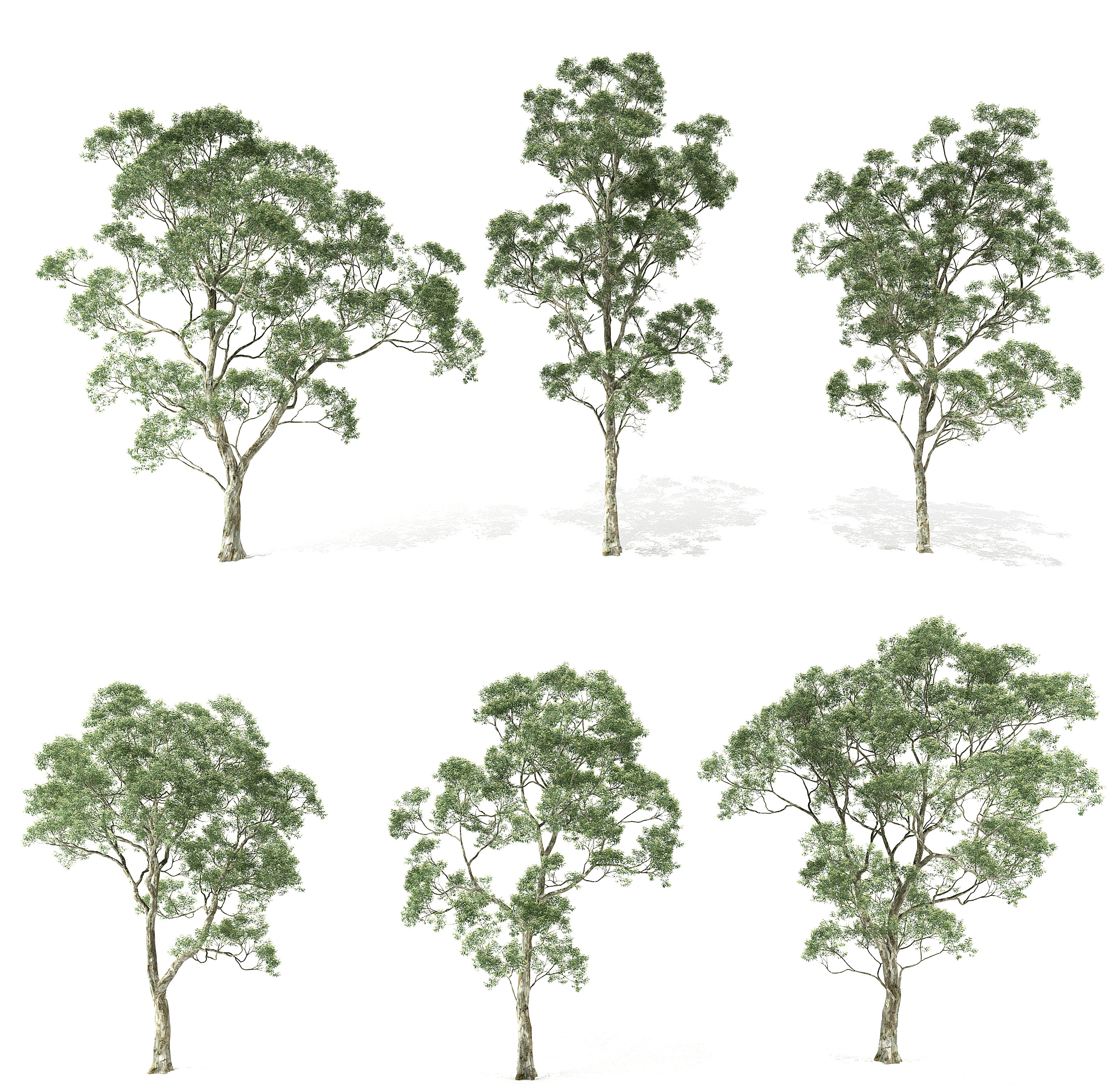 现代树su草图模型下载