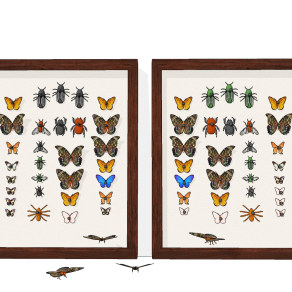 现代蝴蝶昆虫标本挂件su草图模型下载