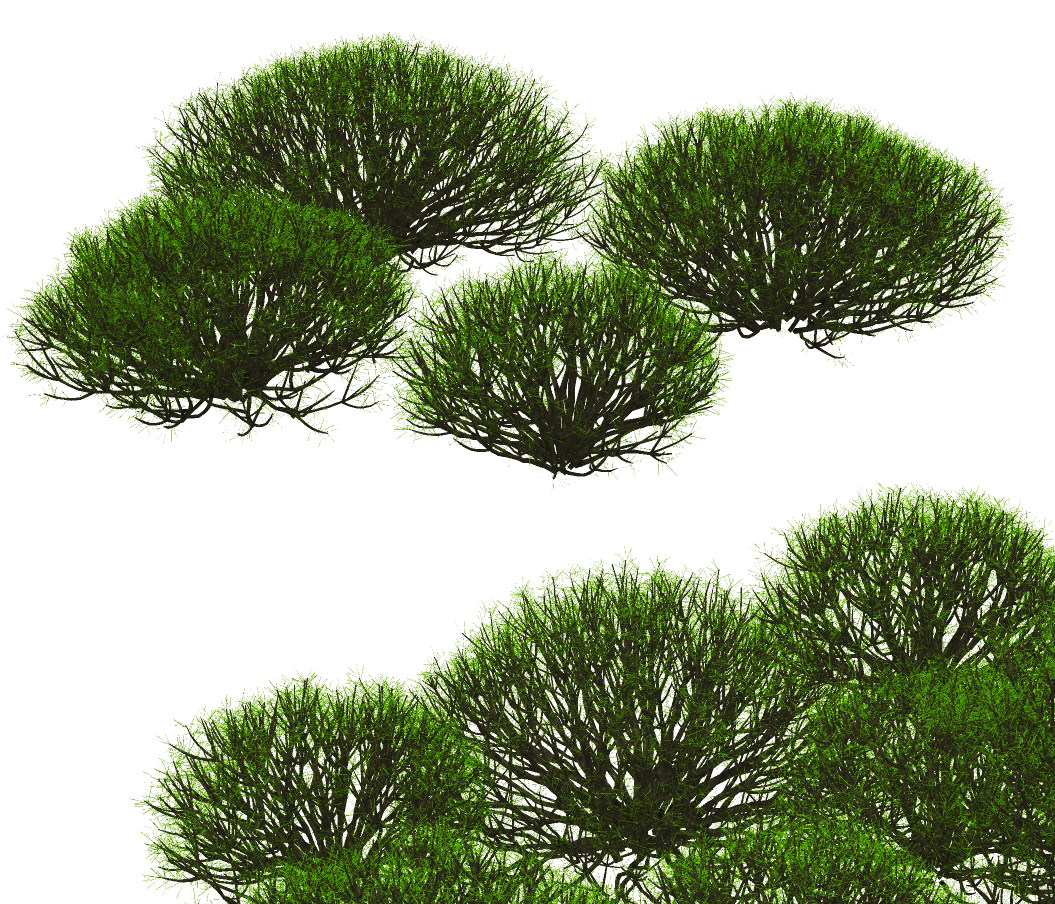 现代绿植灌木,矮树su草图模型下载