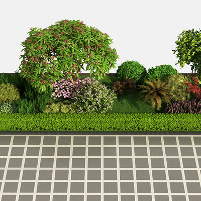 现代灌木植物3d模型