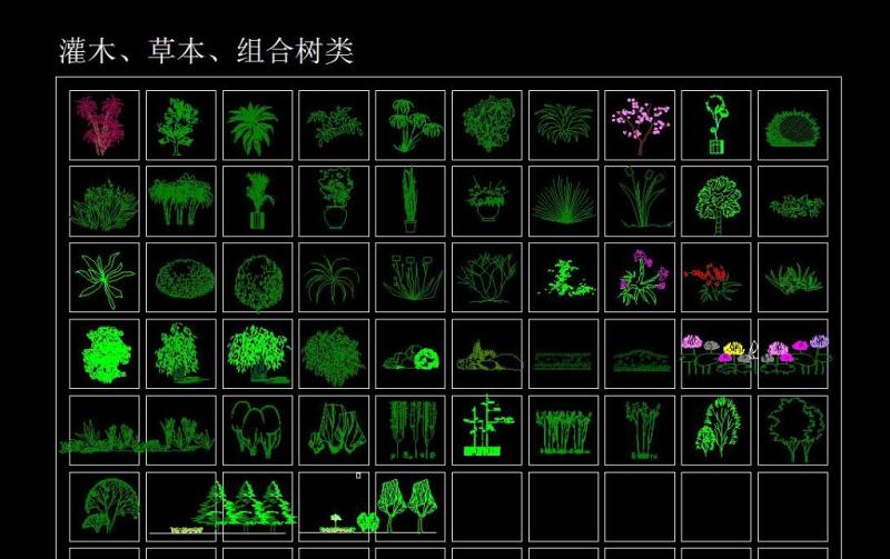 CAD立面<a href=https://www.yitu.cn/sketchup/lvzhi/index.html target=_blank class=infotextkey><a href=https://www.yitu.cn/su/7629.html target=_blank class=infotextkey>树</a></a>块大全