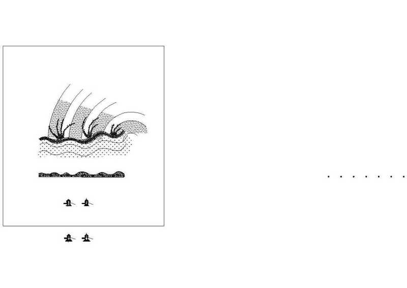 <a href=https://www.yitu.cn/sketchup/gongyuanjingguan/index.html target=_blank class=infotextkey><a href=https://www.yitu.cn/su/6806.html target=_blank class=infotextkey>公园</a>景观</a><a href=https://www.yitu.cn/su/7590.html target=_blank class=infotextkey>设计</a>42,43<a href=https://www.yitu.cn/su/7536.html target=_blank class=infotextkey>龙</a>脊背详图CAD图