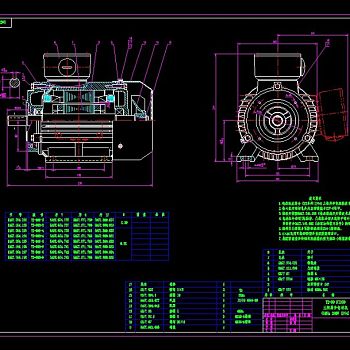 电机全套CAD加工图纸