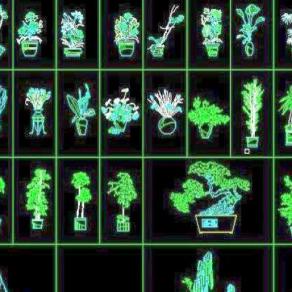 31个选室内植物CAD立面图