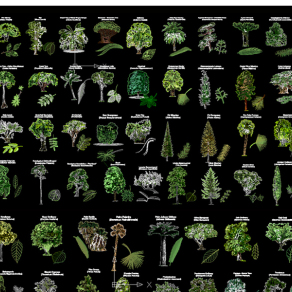 原创国外精品树树叶植物CAD素材-版权可商用3D模型