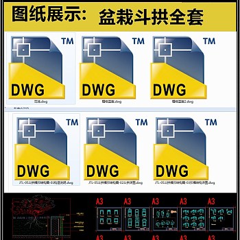 盆栽装斗拱全套详细的CAD图库