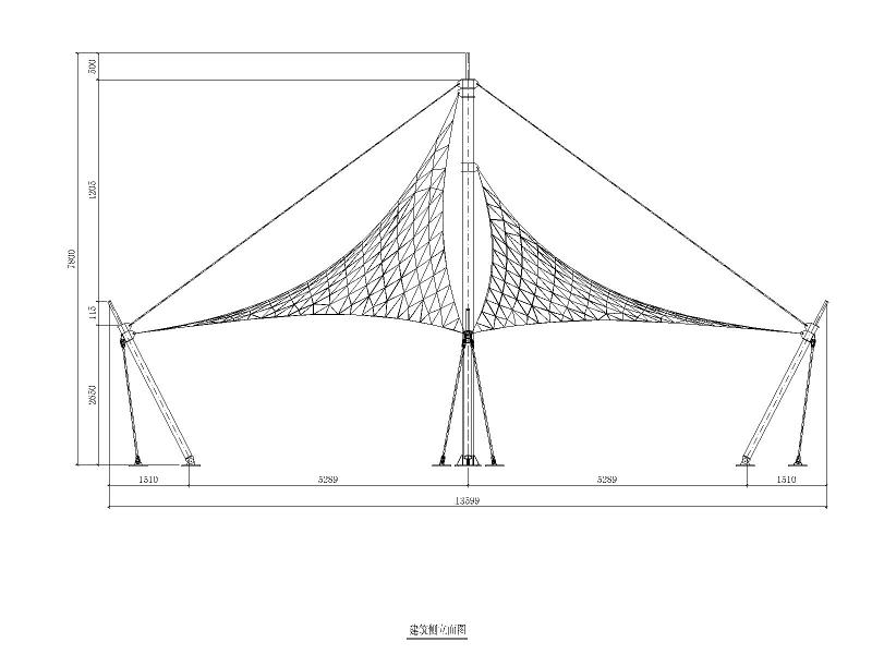 飞燕膜结构工程施工图