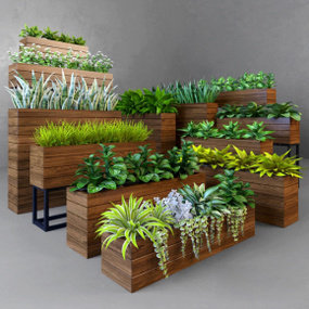现代实木花架万年青虎尾兰盆栽组合3D模型