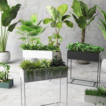 北欧植物盆栽绿植3D模型