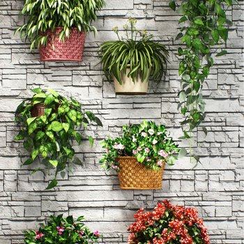 现代壁挂植物3D模型