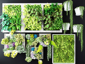 现代多肉绿植画框植物墙3D模型