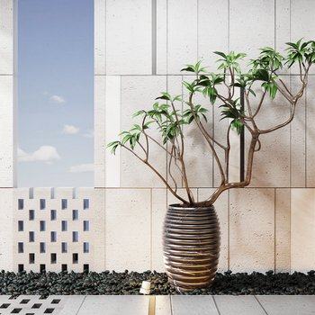 新中式植物盆栽组合3D模型