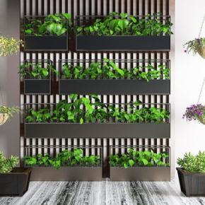 绿植植物吊兰花草盆栽植物墙3D模型
