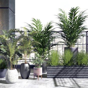 现代阳台户外植物组合3D模型