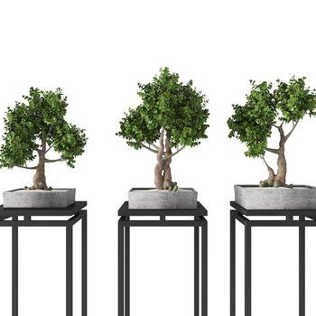 新中式植物盆栽3D模型