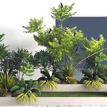 室外绿植组合3D模型