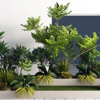 室外绿植组合3D模型