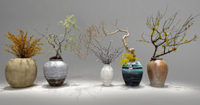 新中式植物干枝花瓶组合3D模型