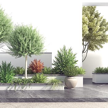 现代景观植物组合3D模型