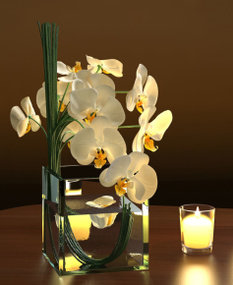 现代玻璃花瓶兰花组合3D模型