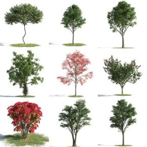 室外植物树组合3D模型